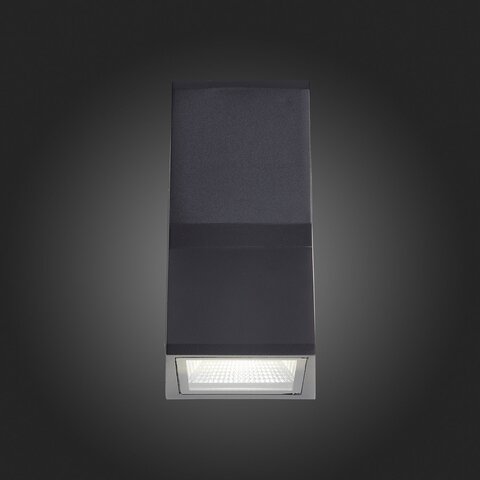Светильник уличный настенный ST Luce Deale SL088.431.02