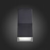 Светильник уличный настенный ST Luce Deale SL088.431.02