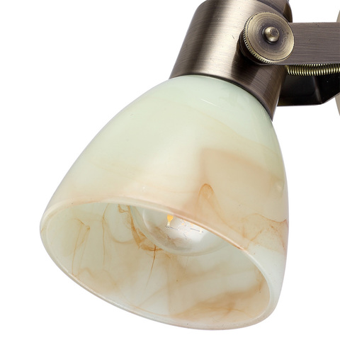 Спот Arte Lamp Tulip A9582AP-1AB