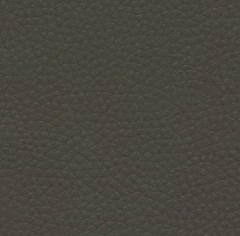 Искусственная кожа Alba dollaro 515 (Альба долларо 515)