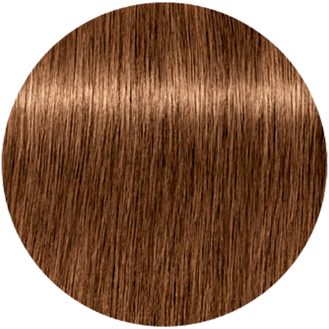 Schwarzkopf Igora Absolutes 7-50 (Средний русый золотистый натуральный) - Стойкая крем-краска для окрашивания зрелых волос