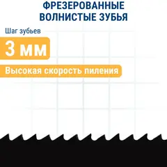 Пилки для лобзика по ламинату ПРАКТИКА тип T13 100 х 75 мм, реверсивные зубы, HCS (2шт.) (036-100)