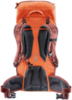 Картинка рюкзак туристический Deuter Climber 22 Papaya/Redwood - 2