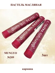 Пастель масляная мягкая профессиональная MUNGYO Gallery Кармина №209 (3шт)