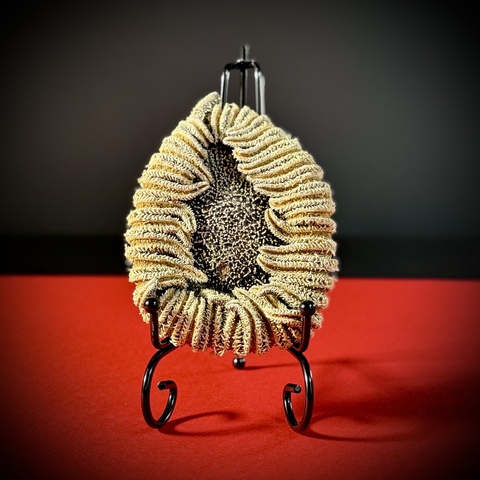 Морская звезда на подставке