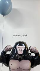 К Фигура, Горилла-джентльмен, 27