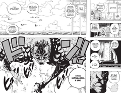 One Piece. Большой куш. Книга 24
