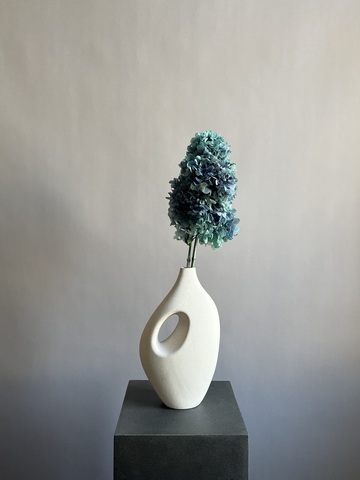 Гортензия стабилизированная голубая крупнолистная