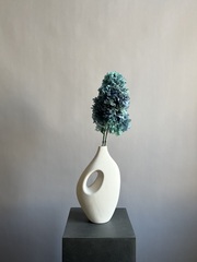 Гортензия стабилизированная голубая крупнолистная