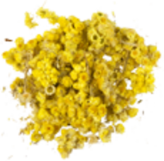 Бессмертник песчаный (цвет, 50гр.) (Старослав)