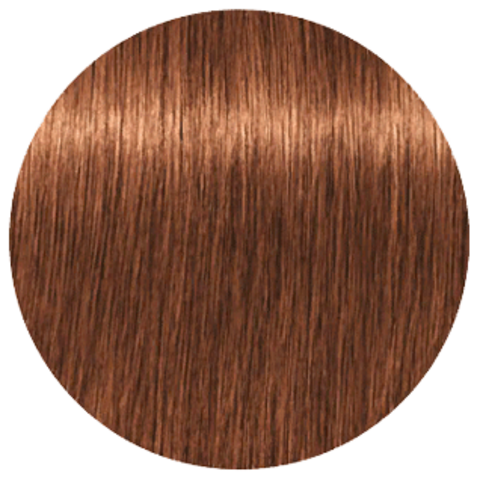 Schwarzkopf Igora Absolutes 7-60 (Средний русый шоколадный натуральный) -  Стойкая крем-краска для окрашивания зрелых волос