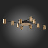 Светильник потолочный ST Luce Veroli SL1207.402.10