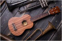 FLIGHT NUS310 - Укулеле сопрано