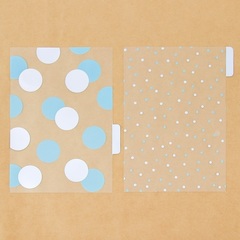 Набор ацетатных разделителей для планера «Мята», 6 листов, 16 × 21 см