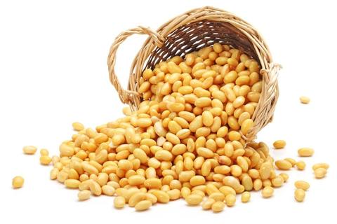 Соя для проращивания Чистый Продукт 500 г