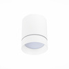 Светильник потолочный ST Luce ST115.532.07