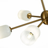 Люстра потолочная ST Luce Treviso SL1180.202.06