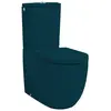 ArtCeram FLV003 42 00 FILE 2.0 Унитаз- чаша моноблока 670х370х420 мм., универc слив, с крепежом, цвет petrolio (ВРЕМЕННО НЕ ПРОИЗВОДИТСЯ)