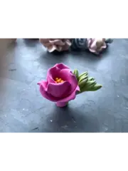 Пищевой молд 