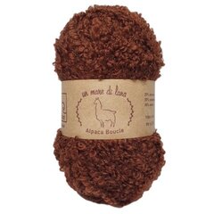 Wool Sea Alpaca Boucle 26 (шоколад)