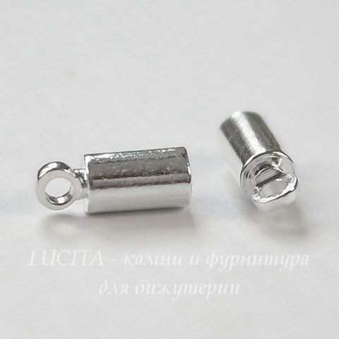 Концевик для шнура 3 мм, 9х3,5 мм (цвет - серебро), 10 штук (Картинка)
