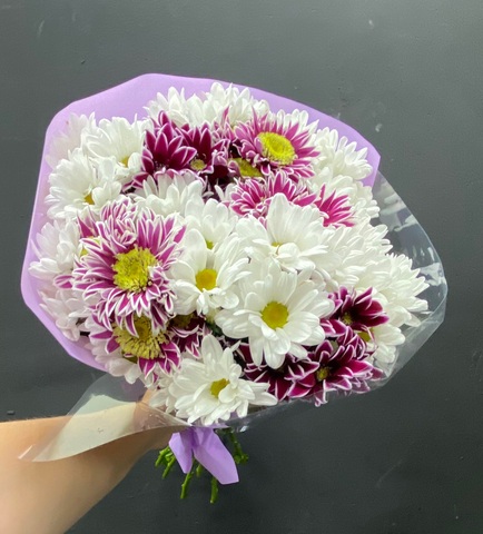 Микс хризантем