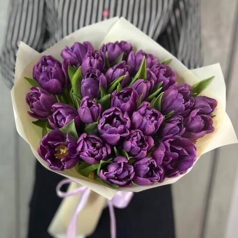 Тюльпаны пионовидные пурпурные от 9шт