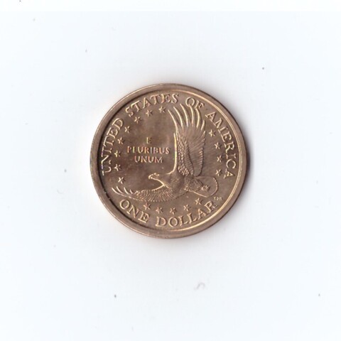1 доллар 2001 Индианка Парящий орел двор P