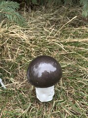 Фигура декоративная для сада 