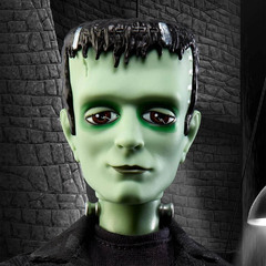 Франкенштейн и Невеста Франкенштейна. Коллектор МХ