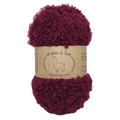 Wool Sea Alpaca Boucle 57 (бордо)
