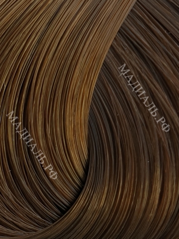 Schwarzkopf  IGORA ROYAL  Absolute 7-560 Средний Русый Золотистый Шоколадный  60 мл