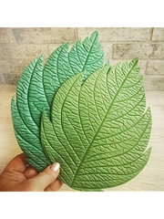 Молд пластиковый 