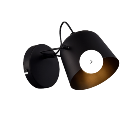 Настенный светильник Evoluce BLANK SLE1805-401-01