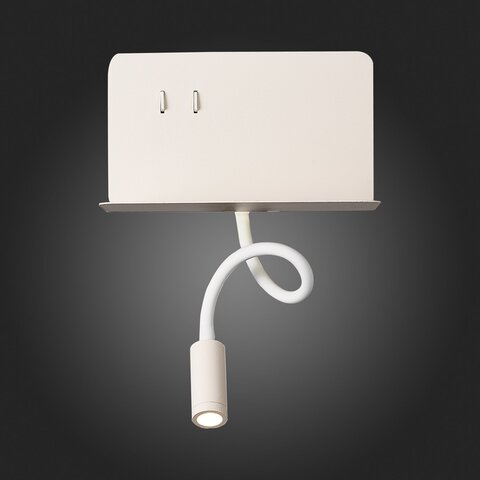 Светильник настенный ST Luce Pinaggio SL1576.501.02