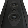 Sonus Faber Arena 30
