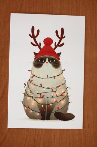 Новогодний кот