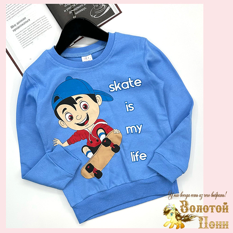 Свитшот хлопок м (6-9) 251128-SSD163
