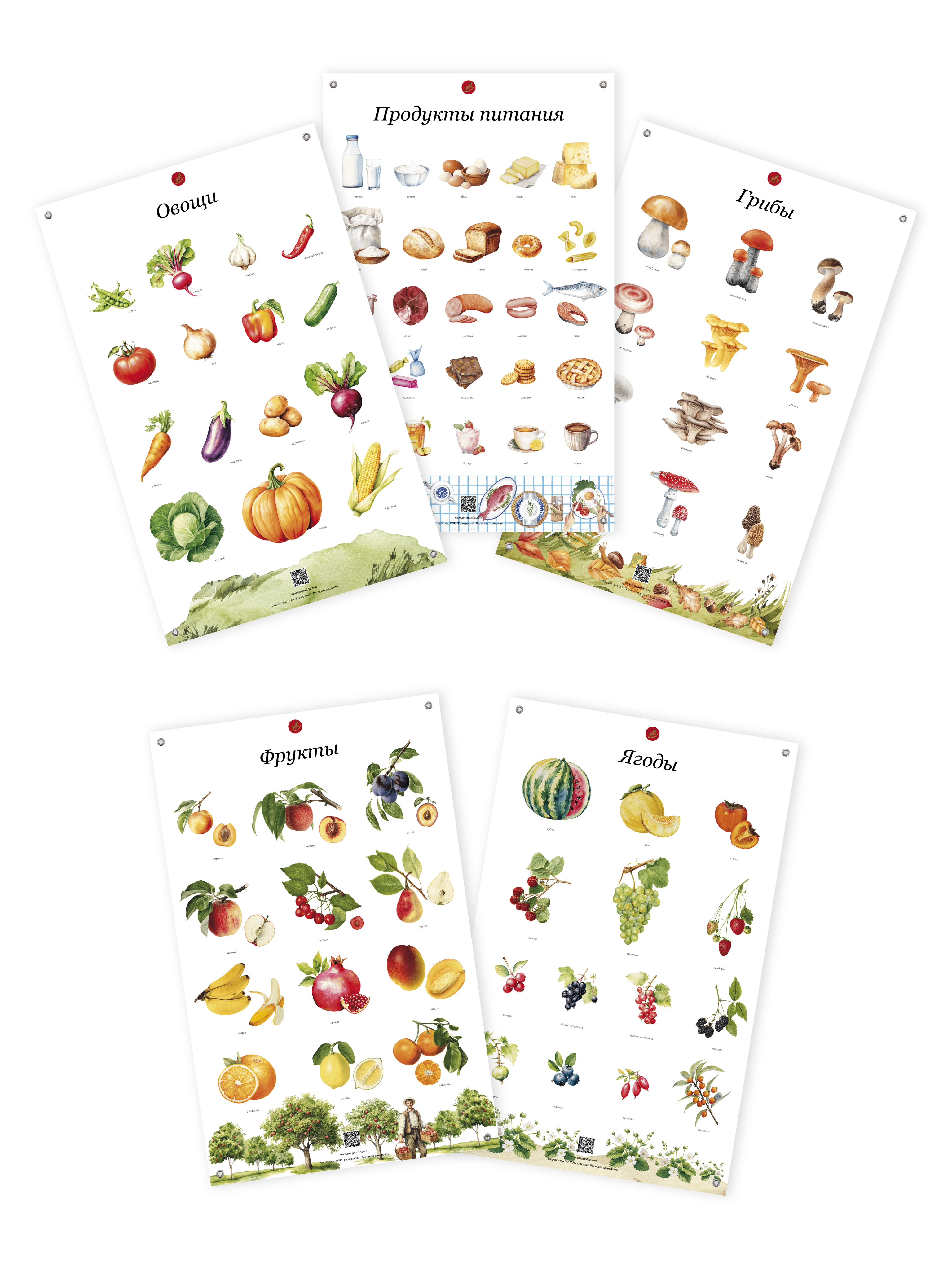 УМК для познавательного развития детей / комплект обучающих плакатов 38 шт. в тубусах