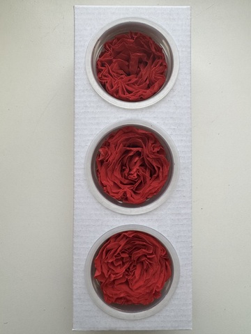 Роза сортовая 7-8см Темно-красный (цена за 3шт)