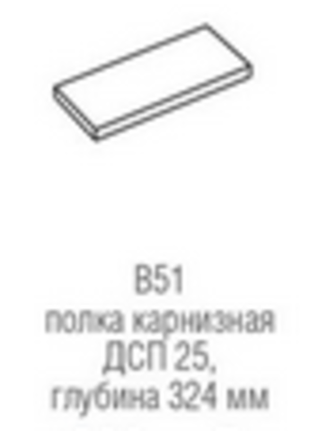 В 51