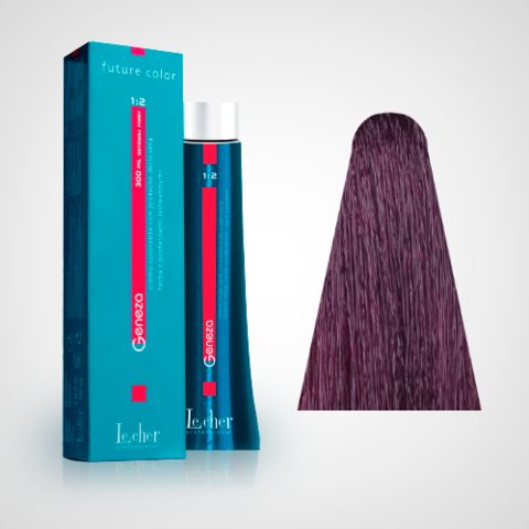 Крем-краска для волос с протеинами шелка 4.2 (4V) Сливовый GENEZA Le Cher Professional 100 мл