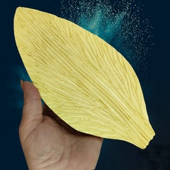 Молд пластиковый Набор 