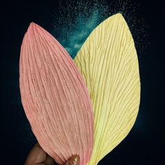 Молд пластиковый Набор 