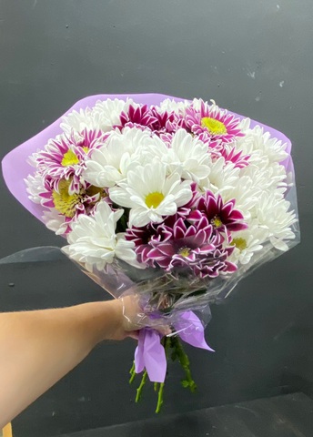 Микс хризантем