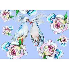Картина по номерам «Влюбленные Птицы» ME1122