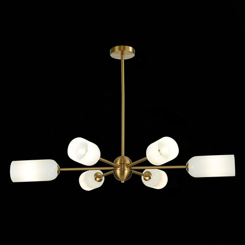 Люстра потолочная ST Luce Treviso SL1180.202.06