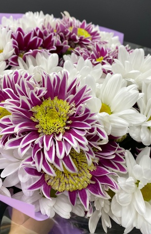 Микс хризантем