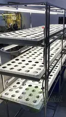 Многоярусный гидропонный стеллаж 3 яруса B1750хД2100хШ600мм до 300 растений