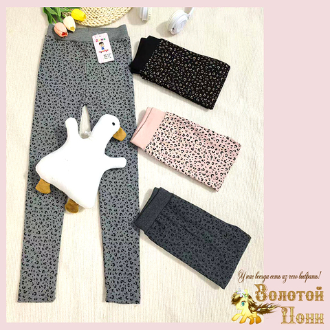 Лосины хлопок д (5-8) 260416-D-А601